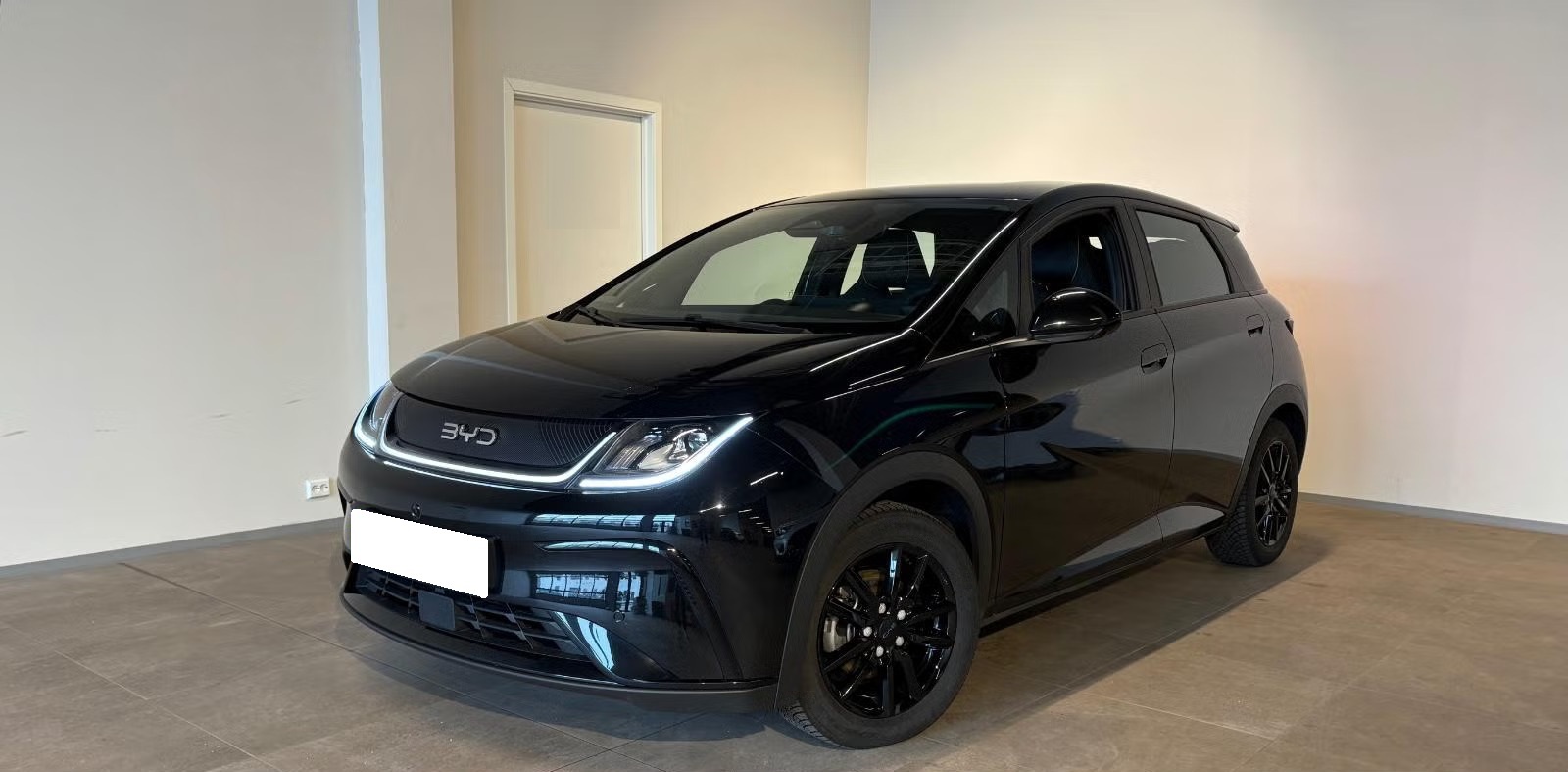 BYD DOLPHIN CONFORT